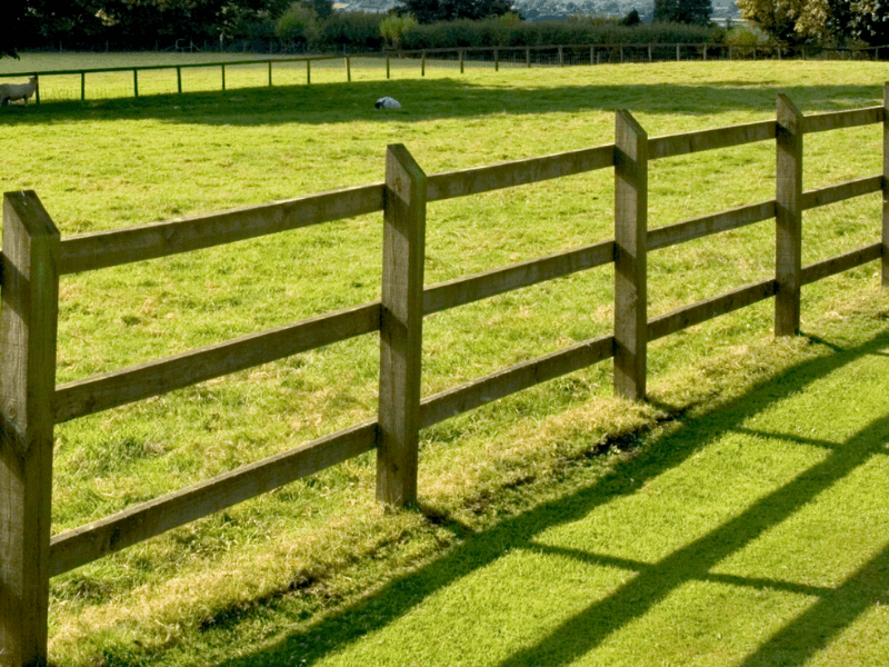 Basic Post and Rail Fence | VectorFence.com Basic post and rail fence with wood posts and horizontal rails creating an open boundary across a grassy property.